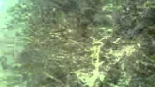 MOV01503.3GP