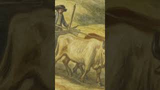 Peasants vs noble lifestyles #history #medievalarchitecture #history #fyp #educational