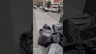 Only in NYC - Trashmageddon