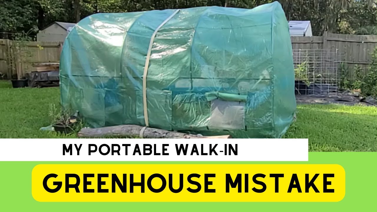 Why I'll Think Twice Before Buying Another Greenhouse