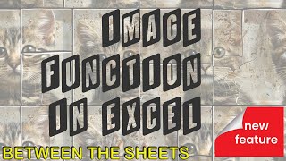 Celebrity Excel's Image Function Wealth