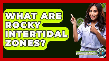 What Are Rocky Intertidal Zones? - Earth Science Answers