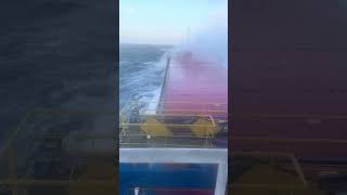 Gemi ile seyahat edip para kazanmak 