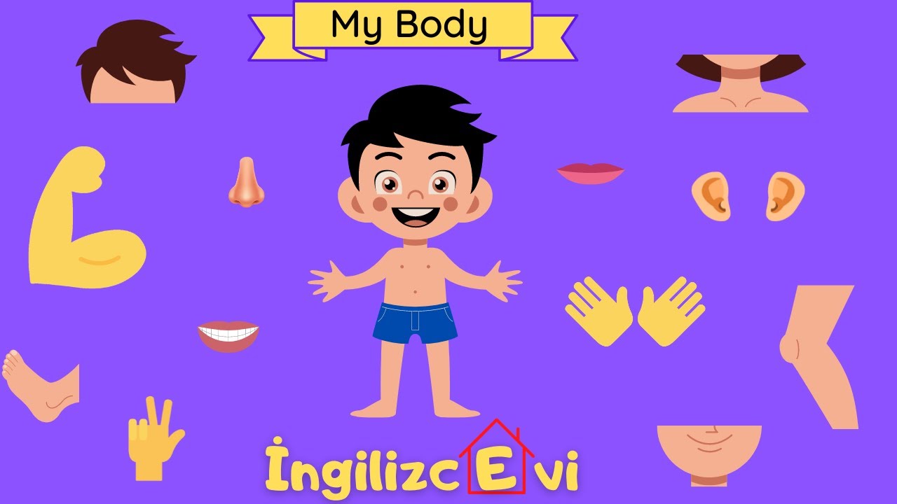 Body Parts Vocabulary Easy English Learning Quiz (Çocuklar İçin