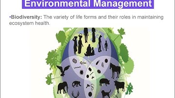Introduction to Environmental Management