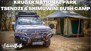 KRUGER NATIONAL PARK | TSENDZE & SHIMUWINI BUSH CAMP | Episode 1