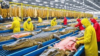 Inside Modern Crocodile-Leather Factory: From Raw Skins Become High-End Luxury Goods (Full Process)