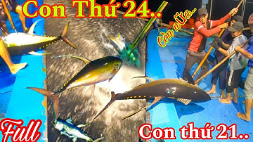 FULL1_ 19 Ngày Câu Cá Ngừ Đại Dương_TỔNG HỢP Những Pha Khấu Cá,Kéo Cá Hồi Hộp Và Hấp Dẫn Nhất