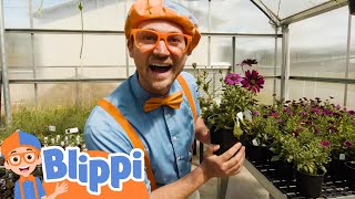 blippi visits a greenhouse educational videos for kids