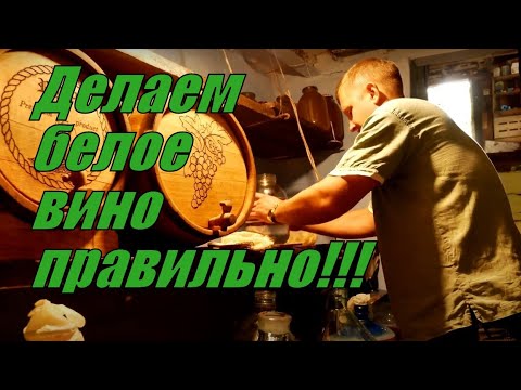 Домашнее вино из белого винограда | Самый легкий способ | Вы всегда будите с хорошим вином