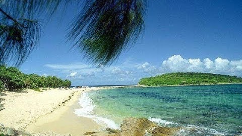 042  سورة الشورى    الشيخ إبراهيم جمال القرجاوي  برواية #روح_عن_يعقوب