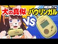 なつかしおもちゃバウリンガルを修理！ﾜﾝﾜﾜﾜﾝﾜﾝ!【図月つくる/ライヴラリ】