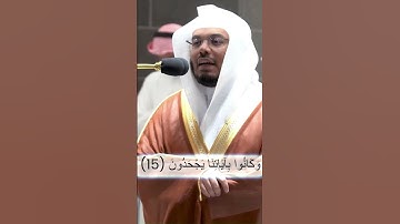 فَأَرْسَلْنَا عَلَيْهِمْ رِيحًا صَرْصَرًا...تلاوة خاشعة و مميزة من سورة فصلت للشيخ ياسر الدوسري