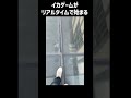 リアルイカゲームが始まった