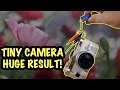 TINY Camera, HUGE result - Pentax QS1 Review