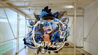 Paradox: Tauranga Street Art Festival