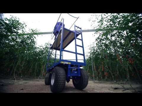 Greenhouse Electric Scaffolding video