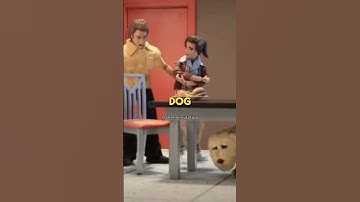 This Is Actually WILD - Robot Chicken Short Edit