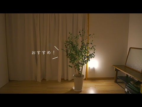 【良い！】お部屋を簡単にグレードアップできるアイテムを推したい…！