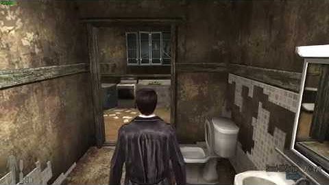 Max Payne 2 widescreen mirror bug