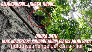 Taman Selecta Batu Malang Jawa Timur - Harga Tiketnya