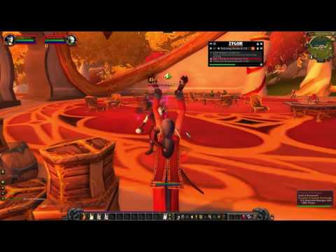 lp's wow return 1