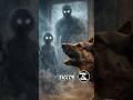 el #increible #misterio de lo que ven los #perros