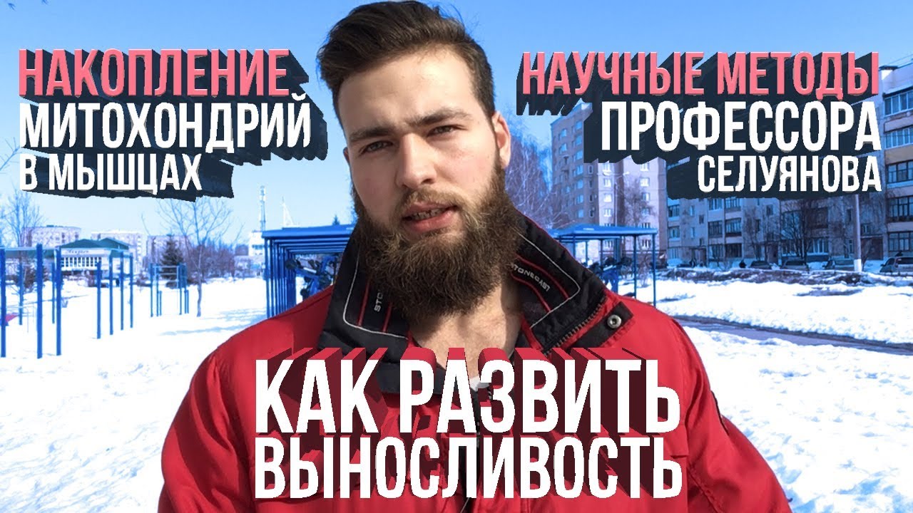 митохондрии в мышцах