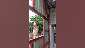 Metal Wall Cladding Exterior | #shorts