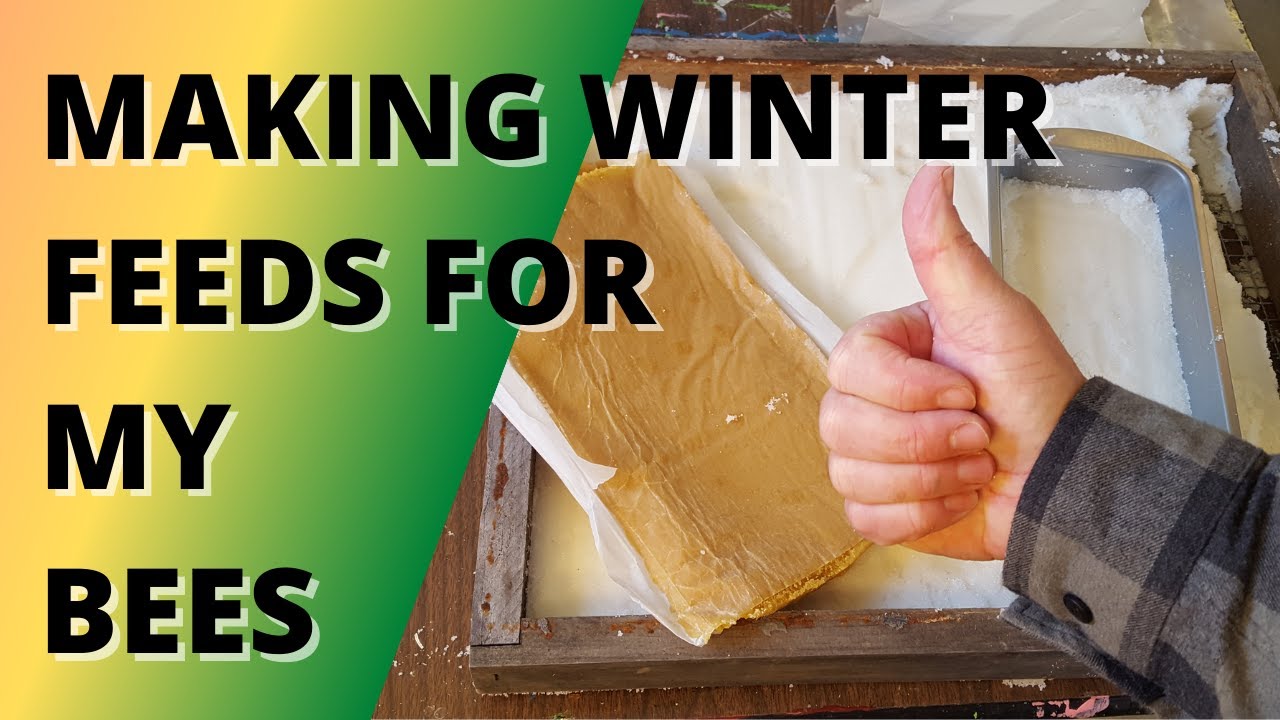Making winter feeds for my bees