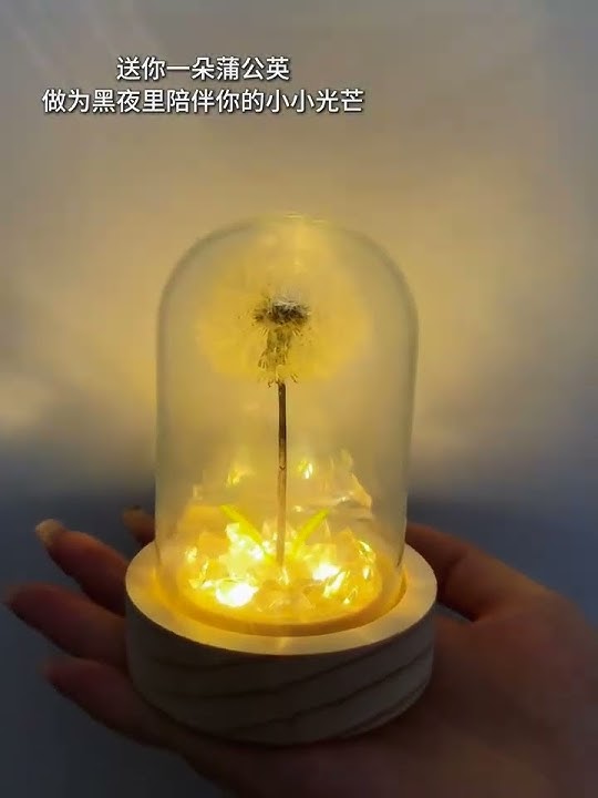 Give you a dandelion that never witheres. As the little light that accompanys you in the dark ni