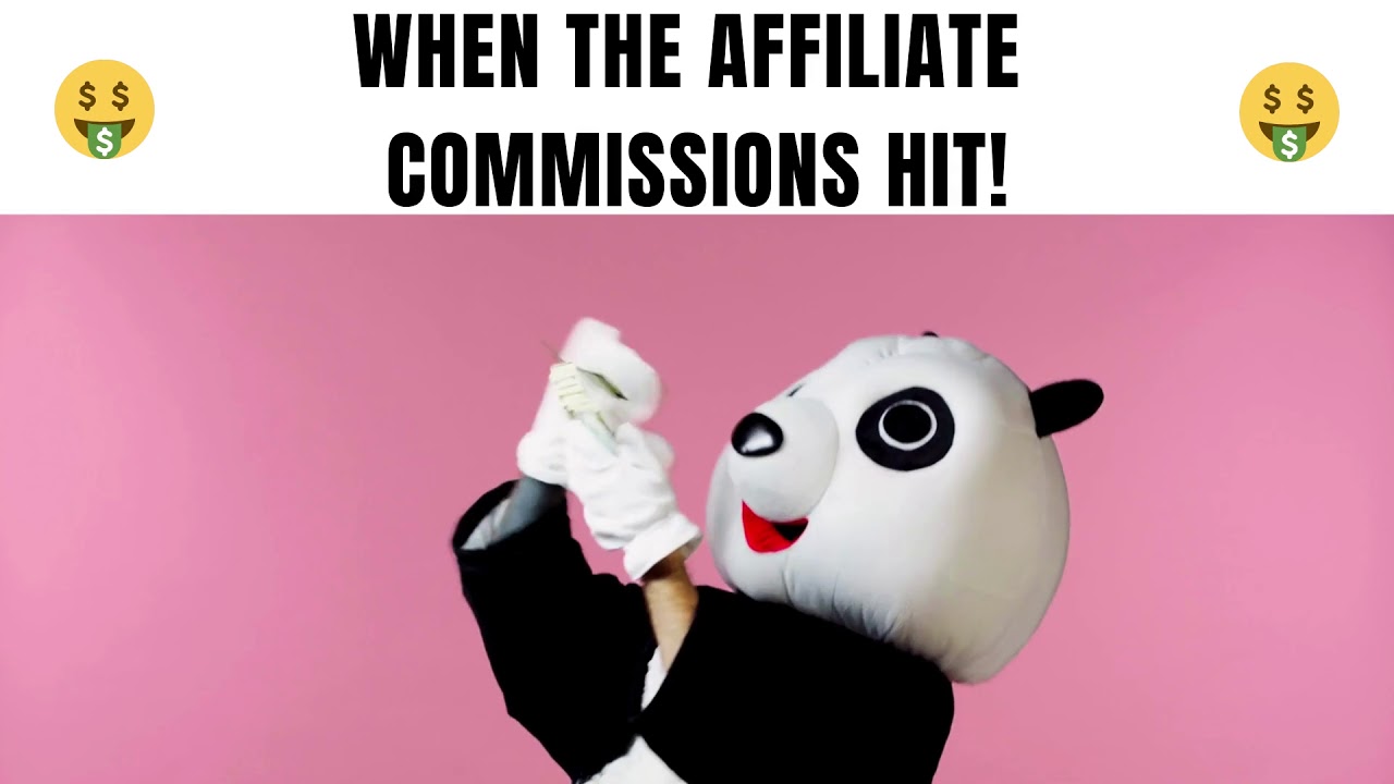 When The Affiliate Commissions Hit! 