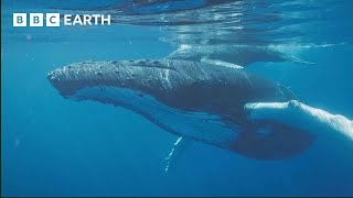 Exploring the Deep Seas | Into the Deep | BBC Earth Kids