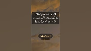 سورة القصص الآية ١٦ الى ١٨ بصوت الشيخ محمد صديق المنشاوي
