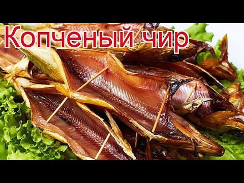 Рецепты из чира - как приготовить чира пошаговый рецепт на 3 порции - Копченый чир за 90 минут