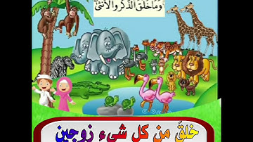 سورة الليل للصف الرابع الابتدائي