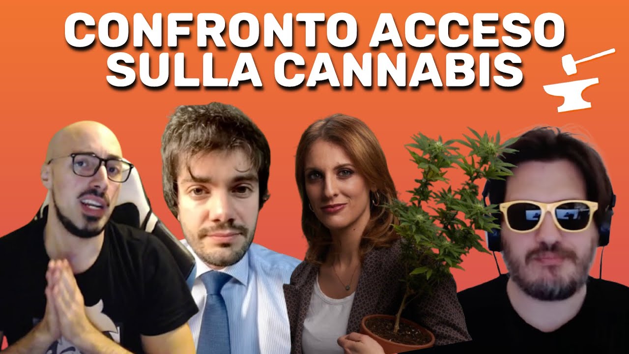 CONFRONTO ACCESO MATT CARUS-ANTONELLA SOLDO (Meglio Legale) su C4NNABlS