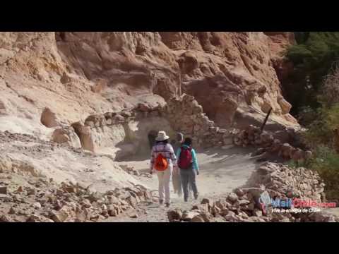 Salar de Atacama y Toconao