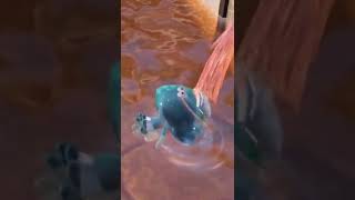 Meme Fish