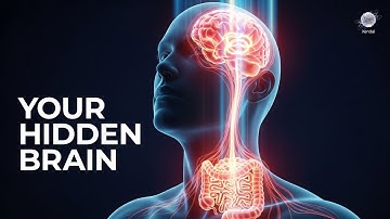 Your Gut is a Second Brain (Here