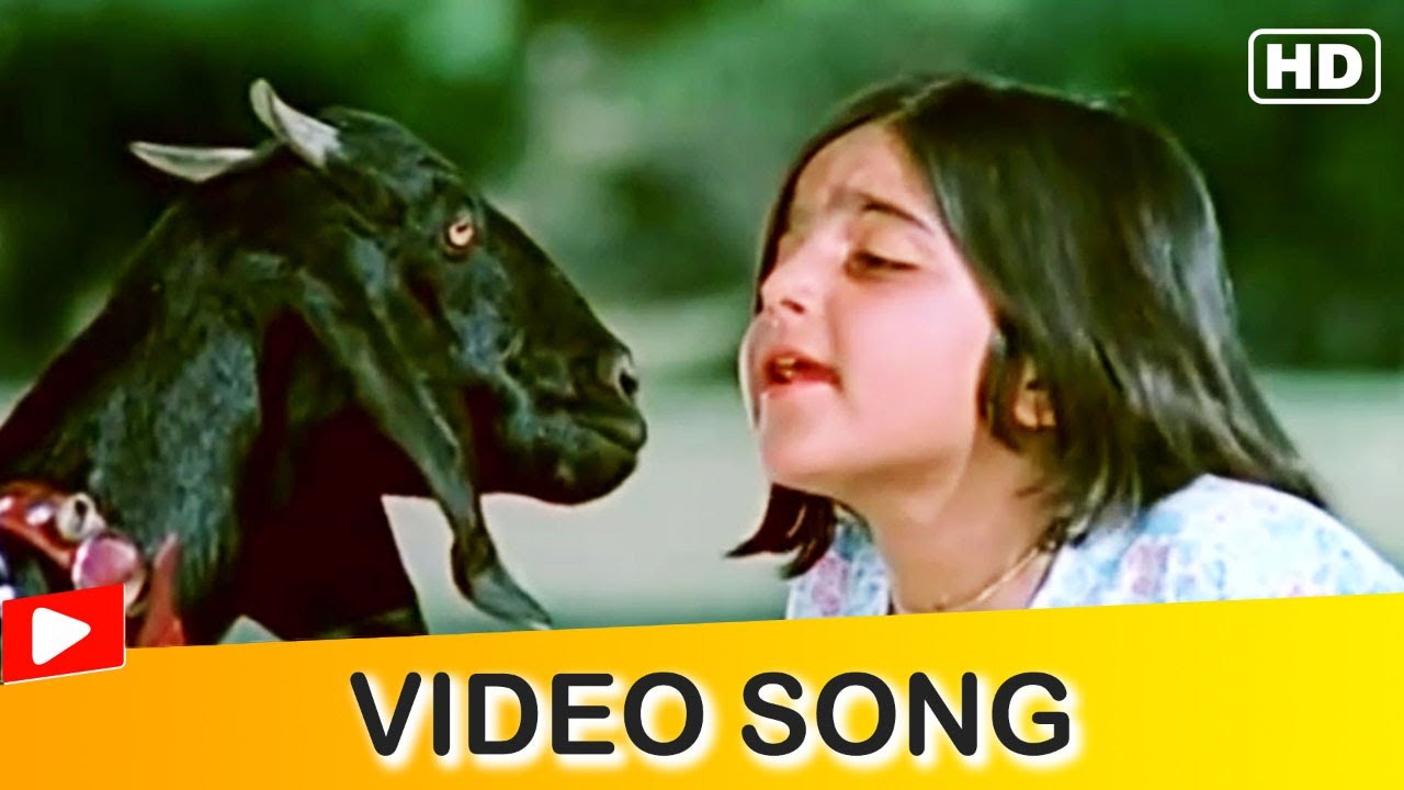 Kali Re Kali Re Tu Toh Kali Hai Video Song  Superhit Hindi Song  Minoo 1977  Hindi Gaane