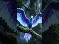 Fantasy magic bird ✨
