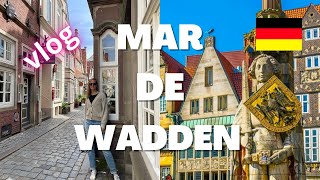 Paseando con Isa - Mar de Wadden, Bremerhaven, Bremen 🇩🇪