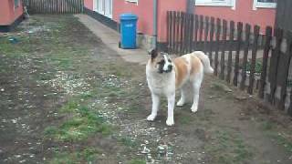 DSCF8288