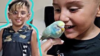 Efe İle Emi̇re Kuş Aldik. Efe Korktu