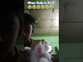 our Linda is R.I.P |||  😭😭😭😭😭😭