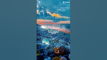 القرآن الكريم 12 #القران_الكريم #اكسبلور #توبة