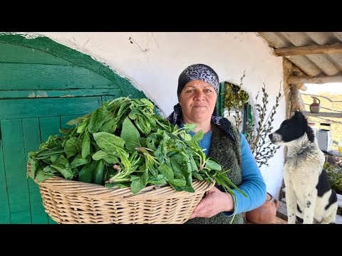 فيديو: طبخ الخشابوري بالسبانخ والجبن