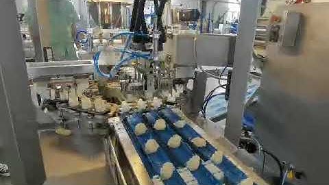 #Full process of automatic dumpling machine  NJZ300G#花式水饺