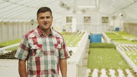 BioTherm Solutions - The TOOB | Dissolved Oxygen Infuser